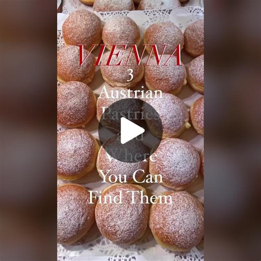Vienna on TikTok