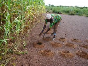 Reducing the risk of desertification