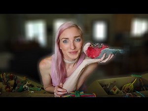 My Cockatoo Is the Cutest!!! | Bondi's Favorite Toys