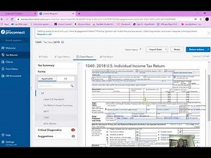 Form 1040 ProConnect How To