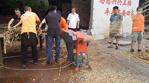 1.8K views · 25 reactions | The guillotine machine 9Z-1.5 has an output of more than 1500kg per hour. Features：Specially used for chopping all kinds of plants branch,fresh grass,rice&wheat straw,cornstalk,etc.#farmersmarket #chaffcutter #agriculturalmachinery #farmer | Dawn Agro Machinery | Facebook