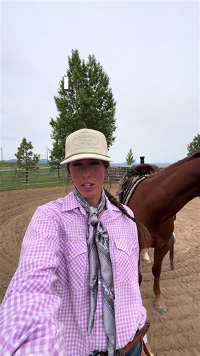 First Impressions with a Colt: Starting Your Young Horse Right