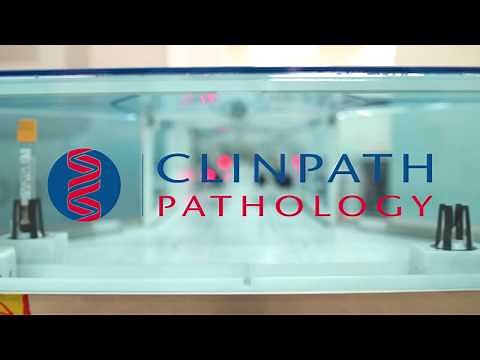 Showcase Clinpath - The Lab