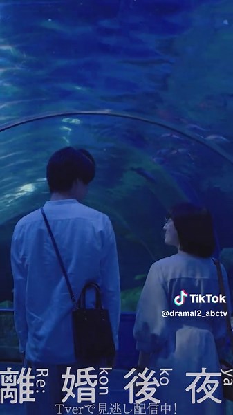 離婚後夜 第6話 水族館デートの魅力