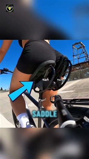 The Best Cycle Saddle 🚲 | Fact Falls 2.O | #shorts