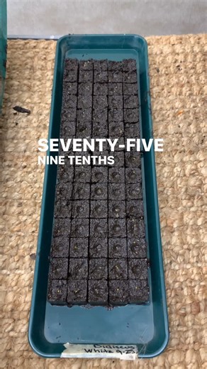 Gardener's Workshop Farm on Instagram: "View the tools, supplies, and how-to course in the shop! I give soil blocking the full credit for helping me to become a flower farmer. You may not know it, but I don’t have any hoop or greenhouses and never have. I do all my seeds starting indoors in a building like a spare bedroom. We’ve started hundreds of thousands of seeds using soil blocks. It rocks! #gardenersworkshopfarm"