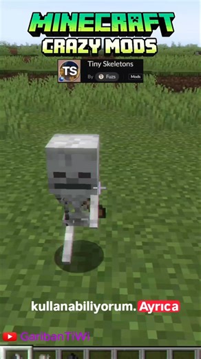 Minecraft'a MİNİ İSKELET EKLEDİM (Tek video duble mod)