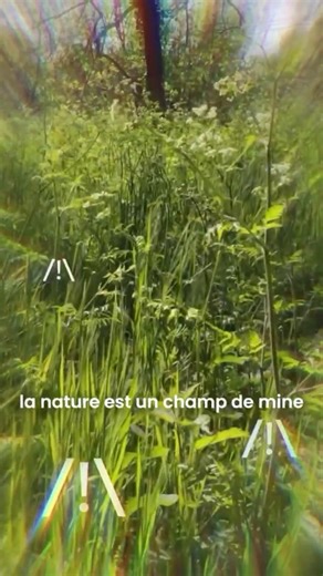 Are wild edible plants safe to pick?