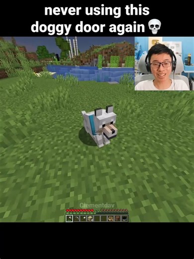 Funny Minecraft Doggy Door Moment