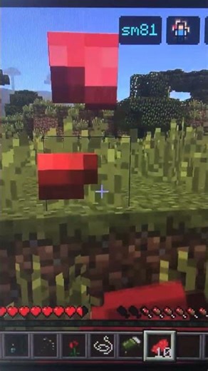 Minecraft Lifeboat SMC Hacker Footage