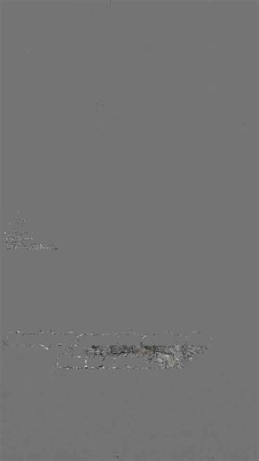 #minirescuetn #rescue #donkey #rescueanimals #adoptdontshop #volunteerwithus | East Tennessee Miniature Horse and Donkey Rescue