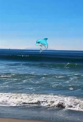 Dolphins are pure joy.