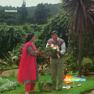 Very Romantic Scene Of Diya Bharti | Movie Deewana | Rishi Kapoor, Divya Bharati, Shah Rukh Khan, Alok Nath .... A newlywed Kajal gets widowed when her husband, Ravi, is killed by his enemies. She moves to another city and gets married to Raja but her life takes a turn when Ravi returns from the dead ..... #ShahRukhKhan #RishiKapoor #DivyaBharti #Deewana #DumdarMovies #entertainment #bollywood | Dumdar Movies