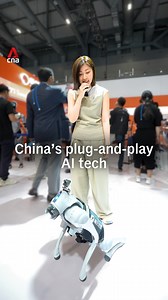 A new wave of plug-and-play tech is emerging in China, designed to make AI adoption much simpler. From a robot dog for the visually impaired, to ready-made AI car systems for automakers to use in vehicles, Melody Chan checked out the offerings showcased at Tencent Global Digital Ecosystem Summit 2025. | CNA