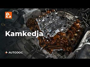 Så byter du själv ut en kamkedja