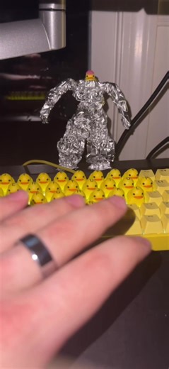 A little late night gaming never hurt anyone… #duck #quack #keyboard | keyboard
