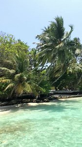 Here’s a little glimpse of our paradise! 🌴☀️ #BandosMaldives #BeautifulBandos | Bandos Maldives