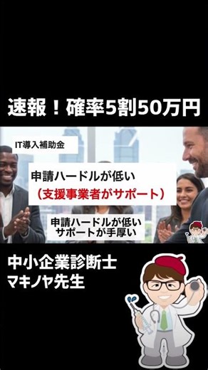 IT introduction subsidy