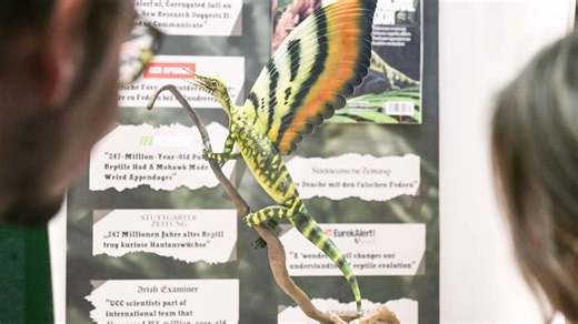 Löwentormuseum in Stuttgart: Ausstellung in Stuttgart – Weltpremiere für den Wundersaurier