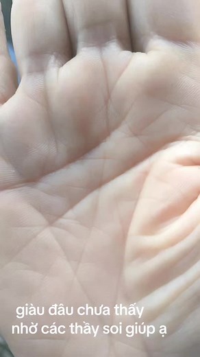 Understanding Palm Lines and Their Meanings