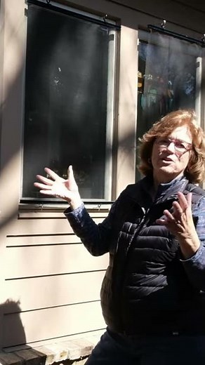 Easy DIY Screening For Windows To Protect Birds From Hitting Them #shorts