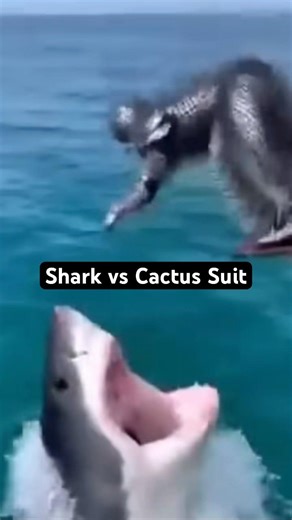 Big win against the shark lol #shorts