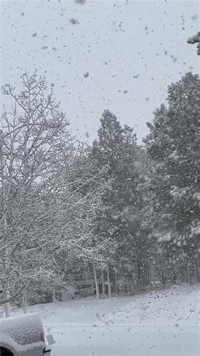Flagstaff Snowfall Update: What's Happening Now