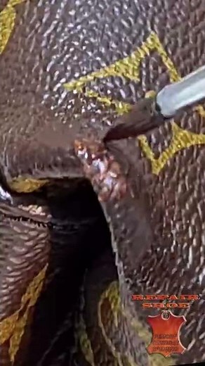 Louis Vuitton Bag canvas restoration