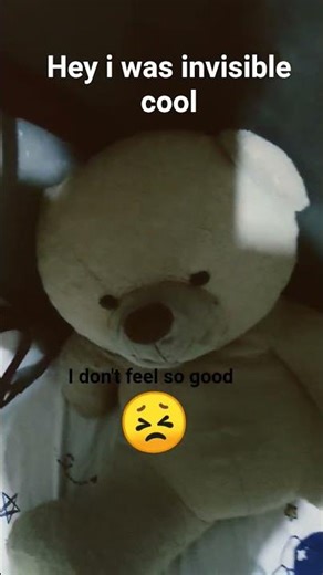 Invisible meme #funny