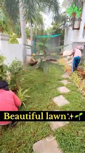 Premium Landscaping Makeover🌿✨Shade Grass + Stones + Pebbles + Border Plants
