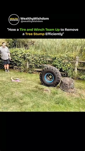 Wealth | Finance | Tech on Instagram: "By placing a tire over the tree stump, it creates a stable base for the pull. Then, a winch cable or chain is attached to the stump and tightened gradually. The tire evenly distributes the pulling force, giving extra leverage and helping loosen the deep roots. With steady tension, the stump slowly lifts out of the ground — no chemicals, no heavy machinery, just smart physics. 🔧🌳 A brilliant, cost-effective method that proves how innovation doesn’t always 