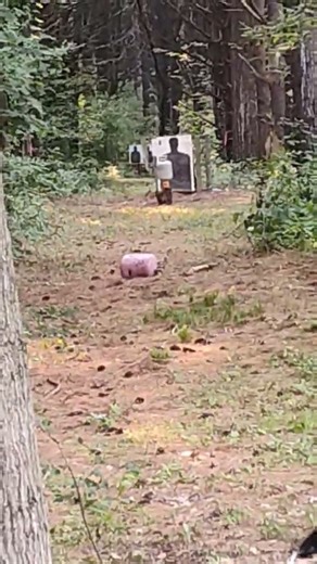 launching empty cans, 1lb tannerite