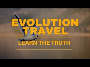 Evolution Travel Review - Legit Or HUGE SCAM?