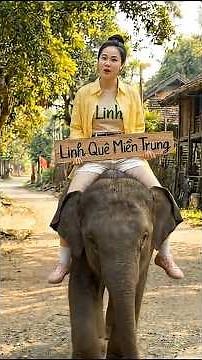 ✅Chuyện Tiếu Lâm #19: Ăn Phở mặc áo mưa (Phần 2) #linhque #linhquemientrung #shorts #tieulam