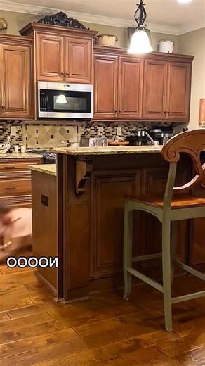 🤣🤣🤣#scare #scared #scareprank #prank #fun #funny #viral #trending #fyp #foryoupage #jumpscare #family #challenge | Prank Us Lol