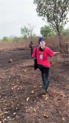 Manual Land Clearing for Sustainable Farming Practices