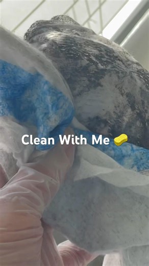 Why do Window Blinds get so DIRTY? #question #windowblinds #cleaning #cleanwithme