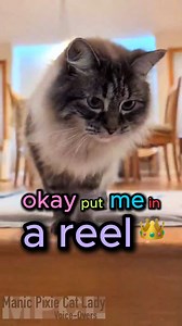 15K views · 3K reactions | One of my besties gets the best visitors...