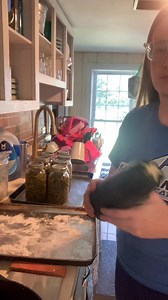 505K views · 3K reactions | Lots of zucchini? No problem. Let’s make zucchini casserole! You’ll need: 2 cups chopped zucchini, half and onion, 1 egg, 1 cup sour cream, 1 can cream of chicken, 1/2 cup cheese, 1 stick of melted butter. #garden #recipe #farmhouse #homestead | Teal House Farm | Facebook