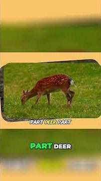 Real or Myth? Unbelievable Creatures That Actually Exist!