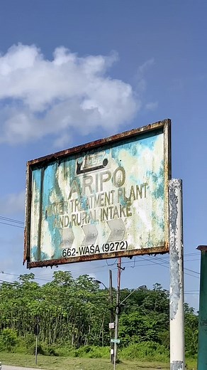 Exploring Aripo Lower Basin | Scenic River Pools & Majestic Limestone Formations