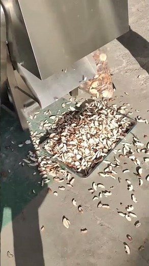 Mushroom slicing machine