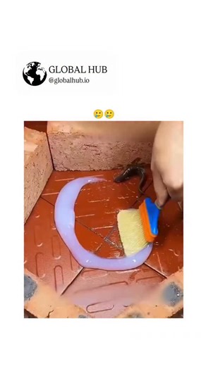GLOBAL REEL HUB on Instagram: "The post shares a 26-second video demonstrating a waterproof epoxy glue's strength through tests like sealing a leaky brick pond (with a live fish and worm inside), repairing a drain hole, and creating a coin-embedded mosaic tile that withstands hammering, garnering 10 million views and 3,000 likes overnight. Replies mix humor and concern, with users joking about the fish's safety ("Was the fish necessary?") and praising the glue's bond akin to Indian brand Fevicol
