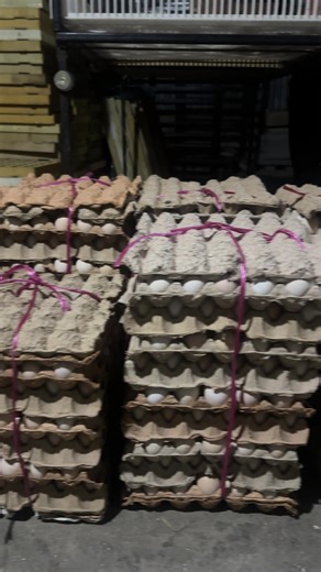 Sustainable Poultry Farming at Everest Farm Nepal