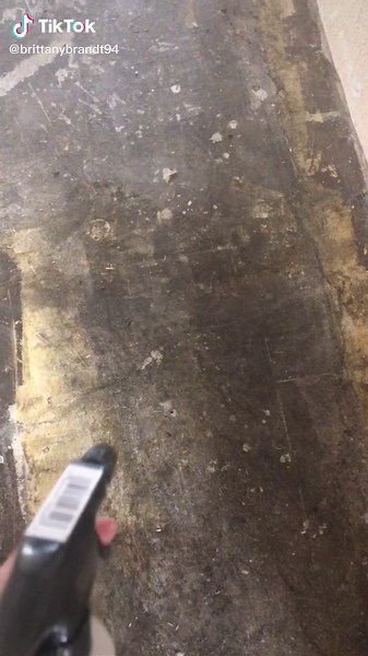 Effective Ways to Remove Pet Odor from Concrete