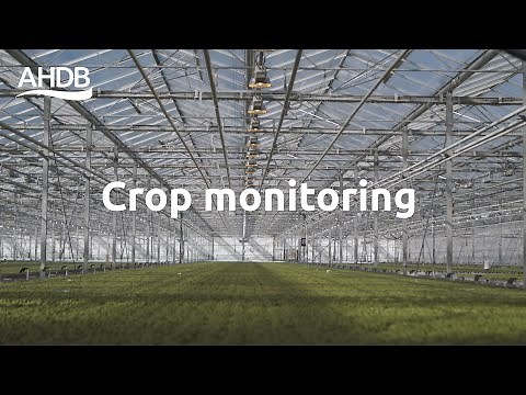 How to crop monitor