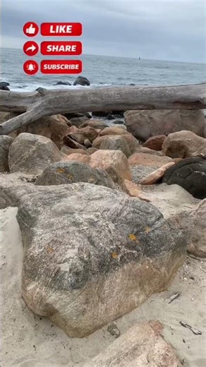 Walking Napatree Point.#beach #naturelovers