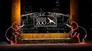 Cheyenne Mountain Zoo hosting 33rd annual Electric Safari | KRDO
