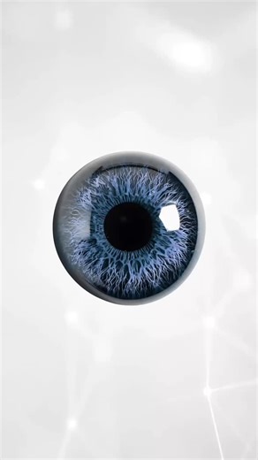 Here’s your first look at the Pupillary Light Reflex Course—now officially live inside the MyoSynaptics membership. In this course, we break down the functional neuroanatomy behind the PLR, outline the role of the pretectal nuclei and Edinger–Westphal complex, review physiological vs. pathological pupillary responses, and teach you how to integrate these findings into real-world neurological assessments. Designed for clinicians seeking to strengthen their understanding of brainstem physiology, a