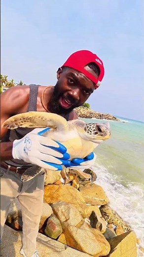 This sea turtle is so beautiful! 🐢 #seaturtle #beauty